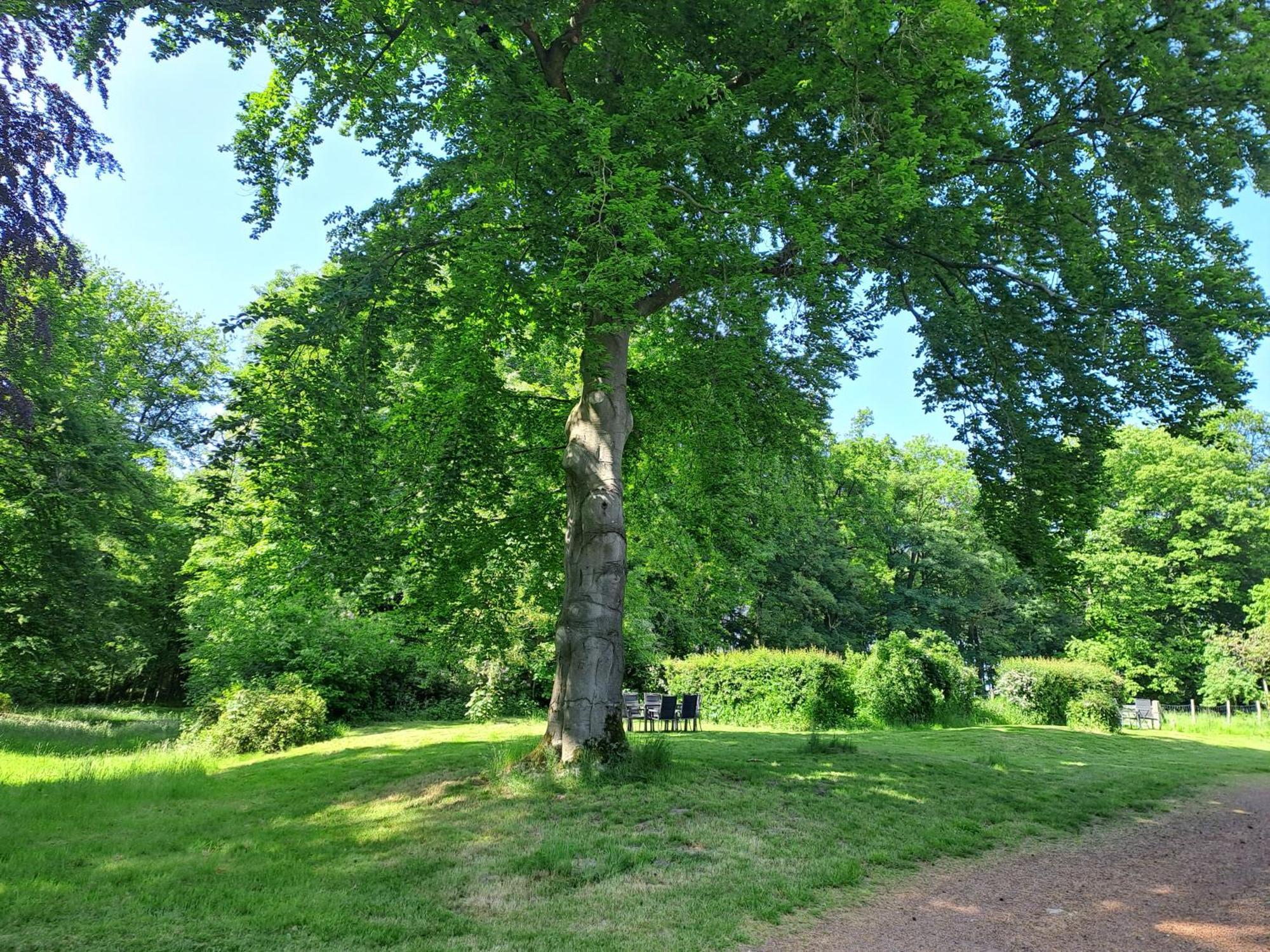 Gite Incontournable Avec Sauna Et Piscine Dans Un Petit Paradis Du Barbant Wallon Villers-la-Ville Экстерьер фото
